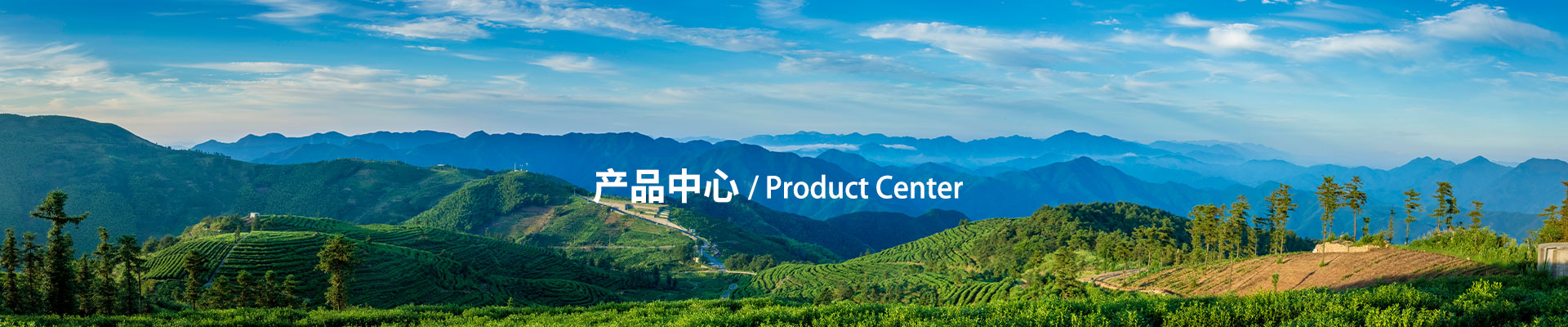 易游体育平台合法吗